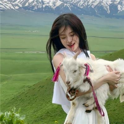 绿色合伙人
